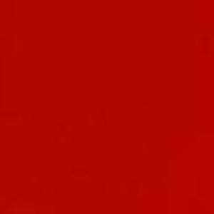 Meet your Posher, Jackson